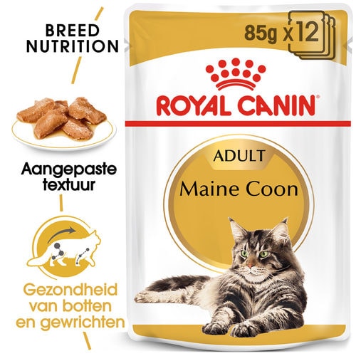 Royal Canin Maine Coon Adult Wet