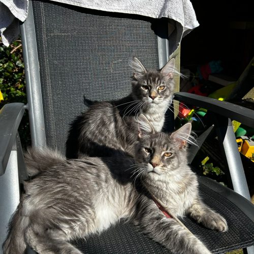 28273264 b166 443d aac9 7966fe6abb16