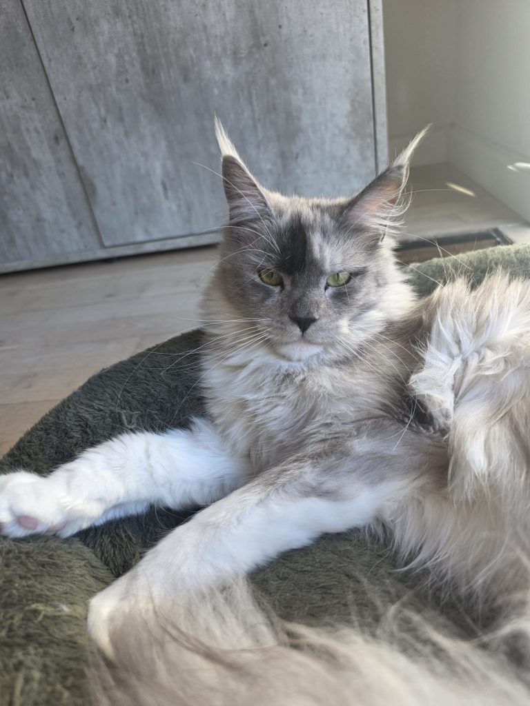 7b1c10e5 219b 489d bb15 045f7fbea327