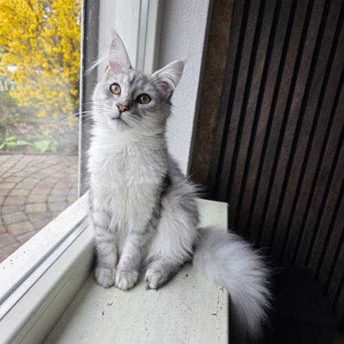 f14236cc 5caa 4ca7 9979 2395b9ffea93