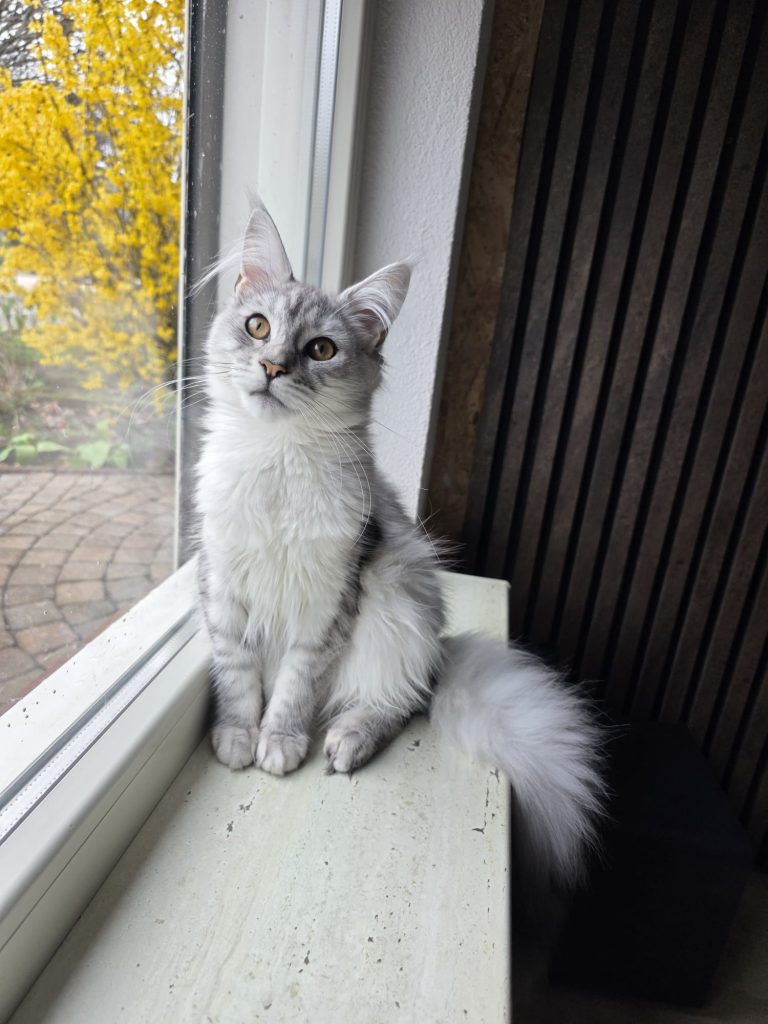 f14236cc 5caa 4ca7 9979 2395b9ffea93