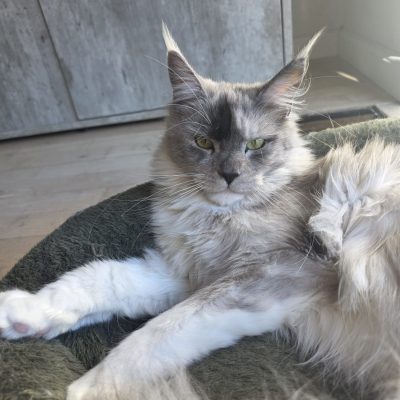 7b1c10e5-219b-489d-bb15-045f7fbea327